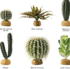 Exo Terra Saguaro kaktus