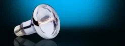 Exo Terra Sun Glo Halogen 100 w