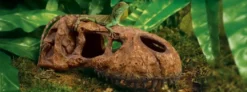 Exo Terra T-REX Kranie