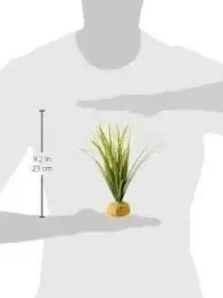 Exo Terra Turtle Grass