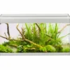 Family Akvarium 60x30x32 cm 54 Liter