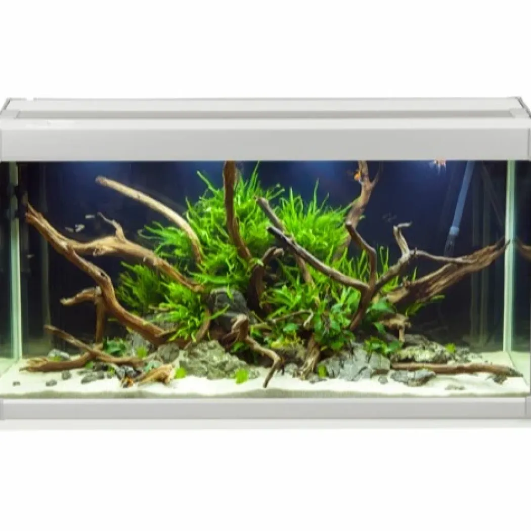 Family Akvarium 70x32x37 cm 80 Liter