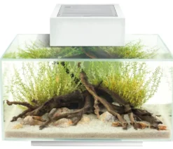 FLUVAL Edge II Hvid 23 liter med LED