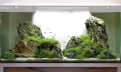 Fluval Flex akvarium 123 Liter Hvid