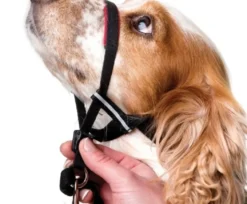 Halti OptiFit snudesele til hund lille