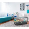 Hamster Plaza knock down