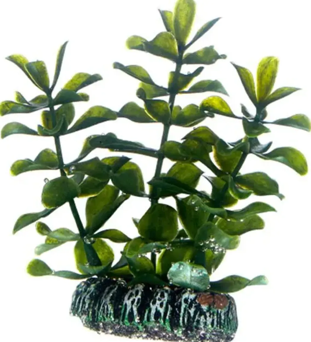 Hobby Bacopa 7 cm