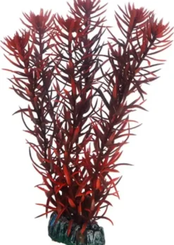 Hobby Eusteralis 20 cm