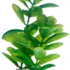 Hobby Saururus 16 cm