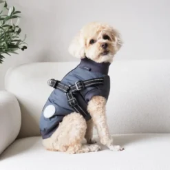 Hundejakke Thor med indbygget sele koksgrå S