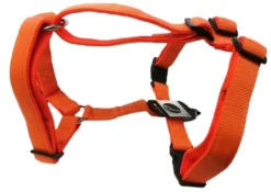Hundesele Nylon Orange justerbar Orange str. 54-70 cm 20 mm - åndbar komfort