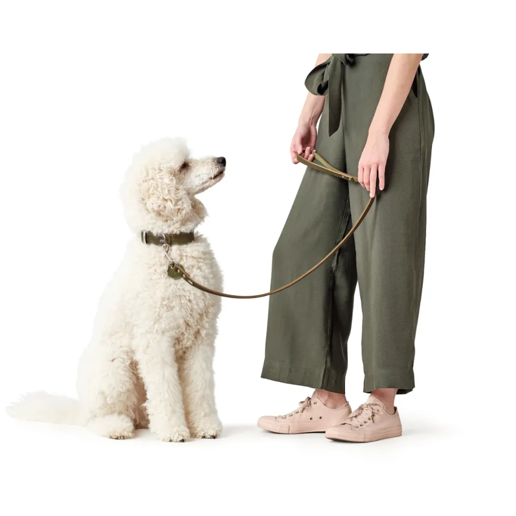 Hunter Aalborg Førerline til Hund Oliven 20/100