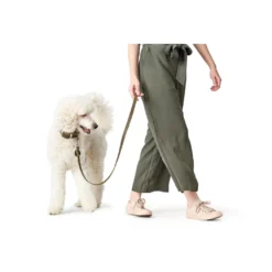 Hunter Aalborg Førerline til Hund Oliven 20/100
