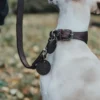 Hunter Aalborg Førerline til Hund Mørkebrun 20/100