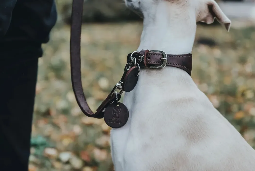 Hunter Aalborg Førerline til Hund Mørkebrun 20/100