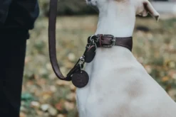 Hunter Aalborg Førerline til Hund Mørkebrun 16/100