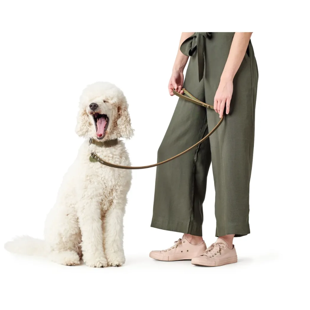 Hunter Aalborg Førerline til Hund Oliven 16/100