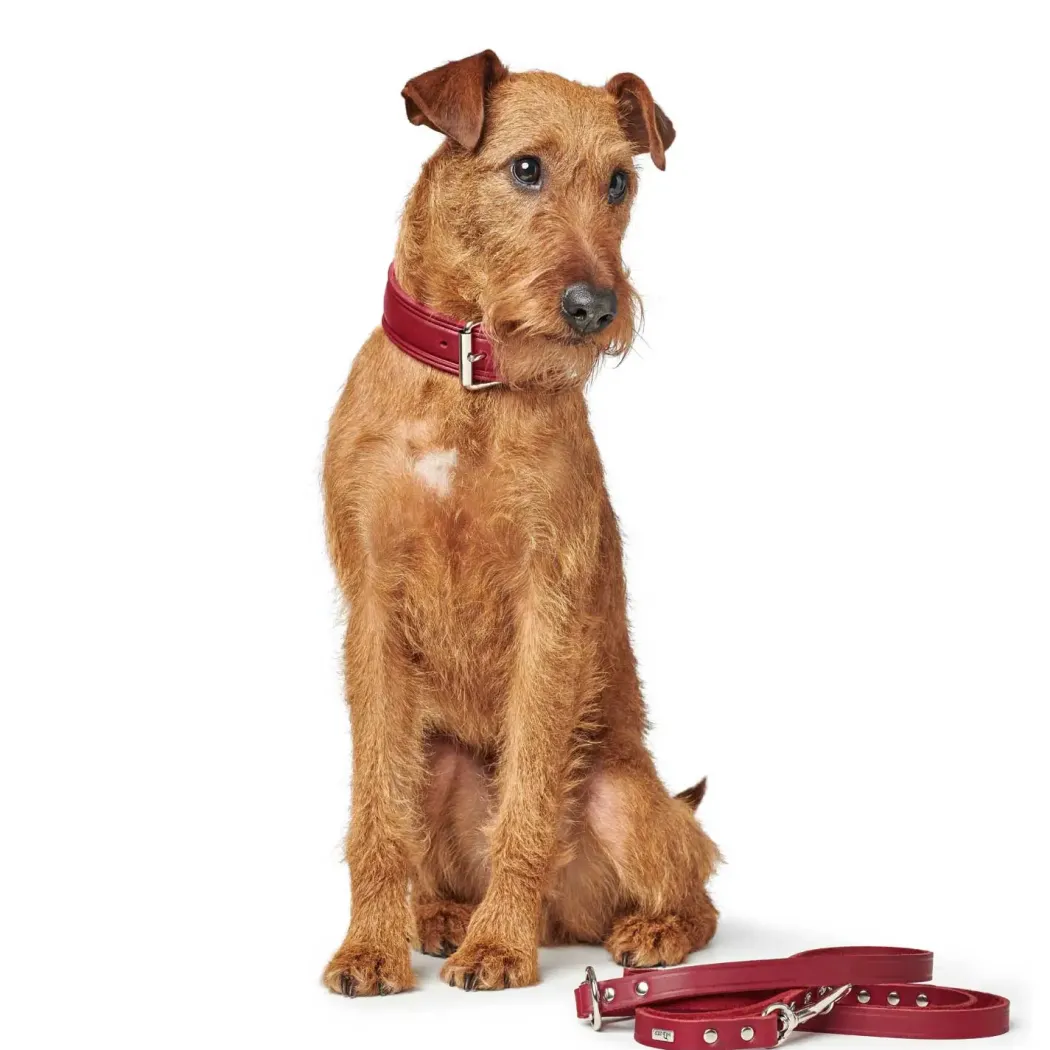 Hunter Aalborg Rustica Rød 55 - 40-48 cm