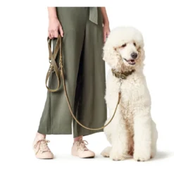 Hunter Aalborg Sport Oliven 32 hundehalsbånd - 24-29 cm