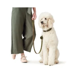Hunter Aalborg Sport Oliven 32 hundehalsbånd - 24-29 cm