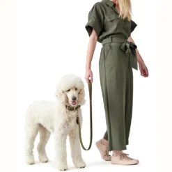 Hunter Aalborg Sport Oliven 37 hundehalsbånd - 28-33 cm