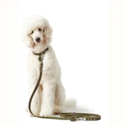 Hunter Aalborg Sport Oliven 37 hundehalsbånd - 28-33 cm