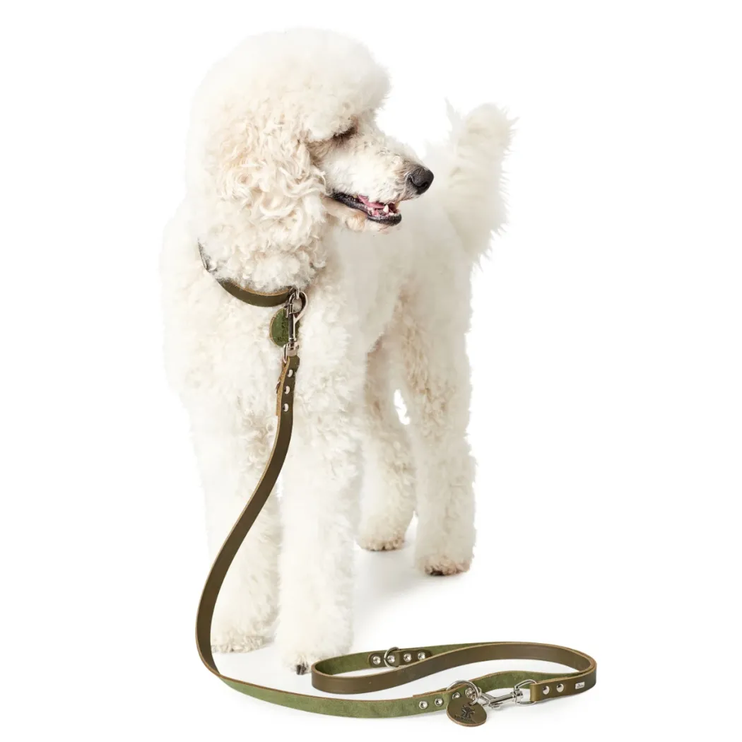 Hunter Aalborg Sport Oliven 42 hundehalsbånd - 32-38 cm