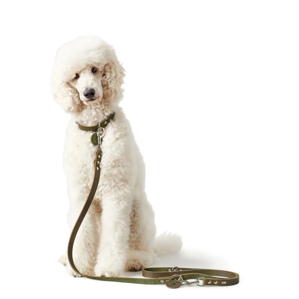 Hunter Aalborg Sport Oliven 42 hundehalsbånd - 32-38 cm
