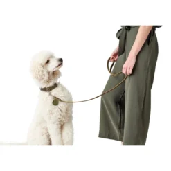 Hunter Aalborg Sport Oliven 42 hundehalsbånd - 32-38 cm