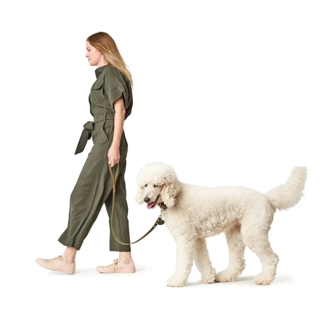 Hunter Aalborg Sport Oliven 47 hundehalsbånd - 37-43 cm
