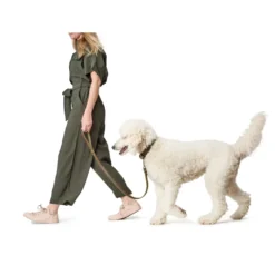 Hunter Aalborg Sport Oliven 60 hundehalsbånd - 45-55 cm