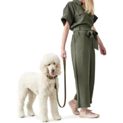 Hunter Aalborg Sport Oliven 60 hundehalsbånd - 45-55 cm