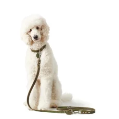 Hunter Aalborg Sport Oliven 60 hundehalsbånd - 45-55 cm