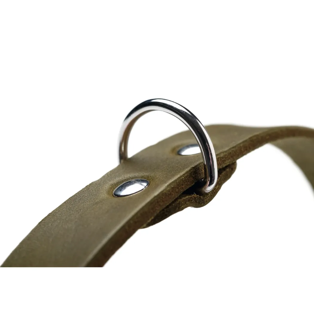 Hunter Aalborg Sport Oliven 60 hundehalsbånd - 45-55 cm
