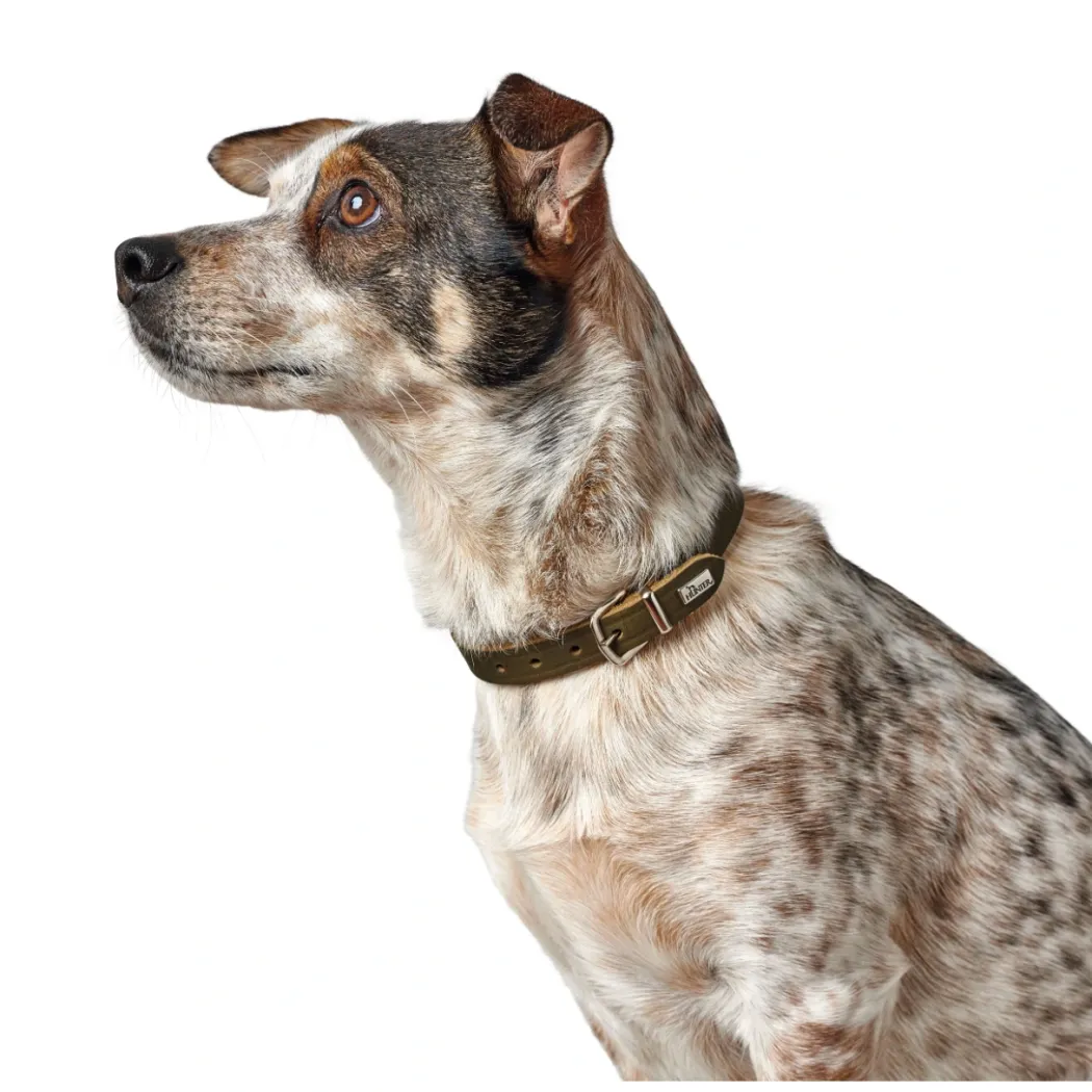 Hunter Aalborg Sport Oliven 60 hundehalsbånd - 45-55 cm