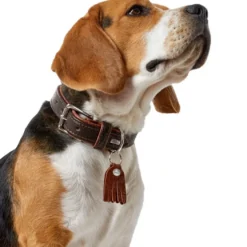Hunter Cody 50 Mørkebrun Cognac hundehalsbånd - 37-43 cm