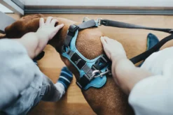 Hunter Divo hundesele M lyseblå/grå just mave 56-73 cm - Stabil pasform og aktiv komfort