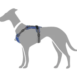 Hunter Divo hundesele M petrol/grå just. mave 56-73 cm - Stabil bevægelse og ergonomisk komfort