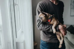 Hunter Divo hundesele M rød/grå just mave 56-73 cm - Stabil pasform og aktiv komfort
