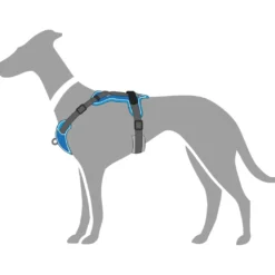 Hunter Divo hundesele S-M lyseblå/grå just mave 52-68 cm - Fleksibel støtte og komfort