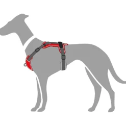 Hunter Divo hundesele S rød/grå just mave 45-56 cm - Smidig pasform og stabil kontrol