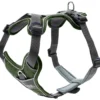 Hunter Divo hundesele XS grøn/grå just mave 34-47 cm - Let komfort og tryg pasform