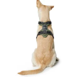 Hunter Divo hundesele XS grøn/grå just mave 34-47 cm - Let komfort og tryg pasform