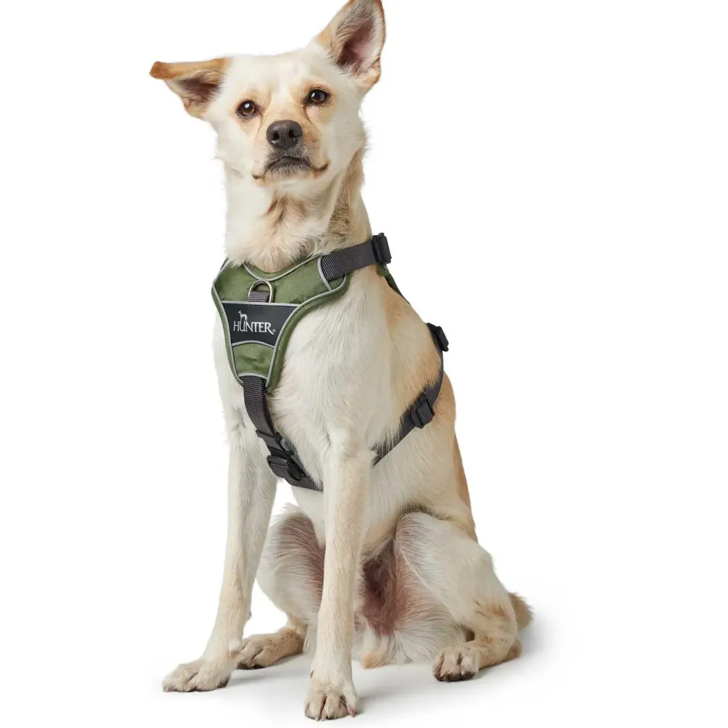 Hunter Divo hundesele XS grøn/grå just mave 34-47 cm - Let komfort og tryg pasform