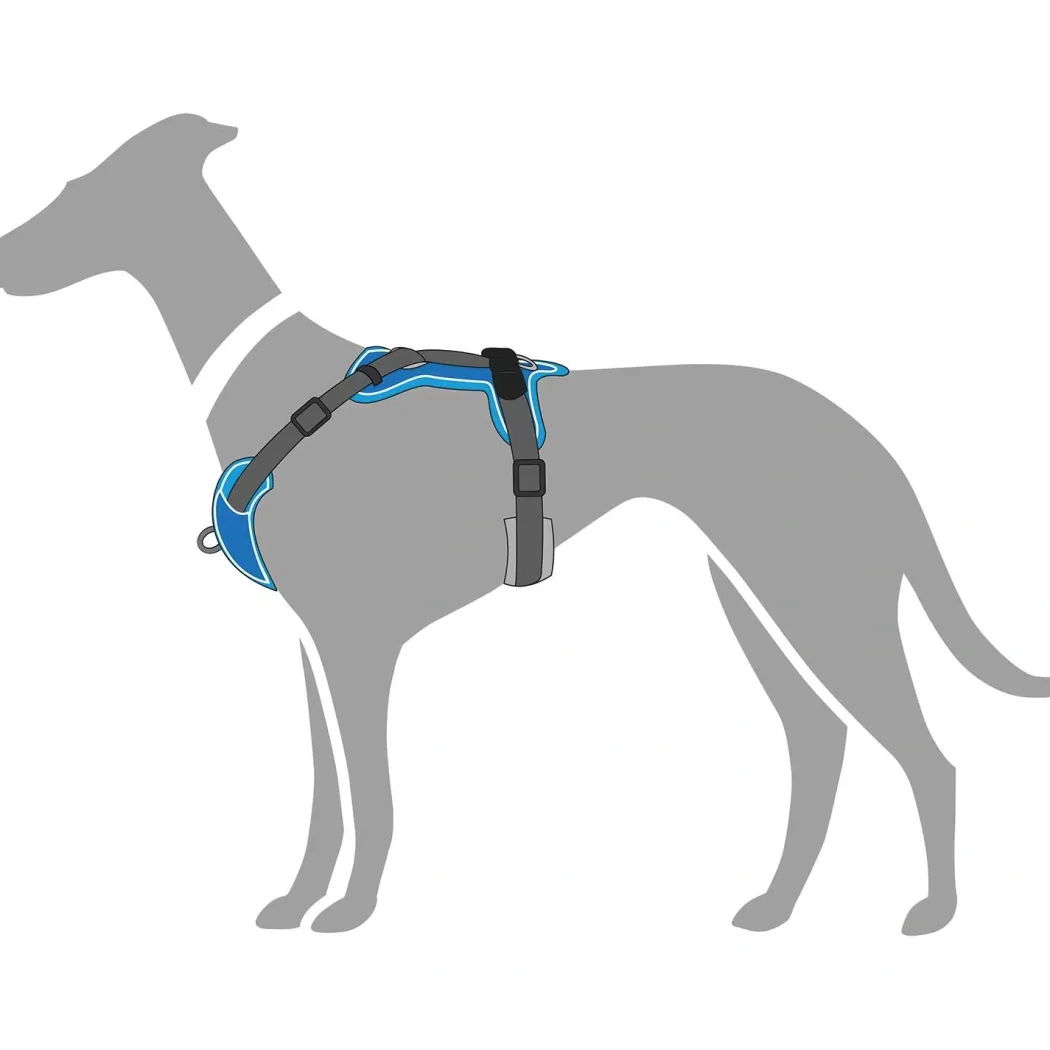 Hunter Divo hundesele XS lyseblå/grå just mave 34-47 cm - Let pasform og høj komfort