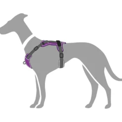 Hunter Divo hundesele XS violet/grå just mave 34-47 cm - Stabil kontrol og komfort