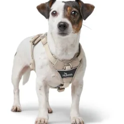 Hunter Divo Up hundesele M beige just mave 56-73 cm - Stabil bevægelse og ergonomisk komfort