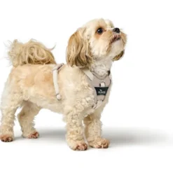 Hunter Divo Up hundesele S-M beige just mave 52-56 cm - Kontrolleret bevægelse og fleksibel pasform