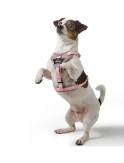 Hunter Divo Up hundesele S-M lyserød just mave 52-56 cm - Fleksibel pasform og rolig bevægelse