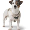 Hunter Divo Up hundesele XS beige just mave 34-47 cm - Nem påtagning og ergonomisk komfort